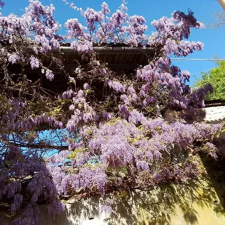 Villa Aspettando Monet *