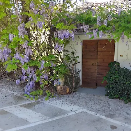 Aspettando Monet Кокконато