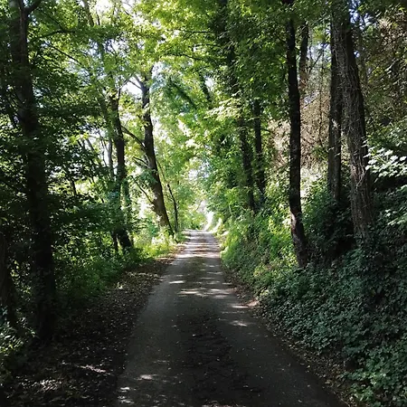 Вилла Aspettando Monet *