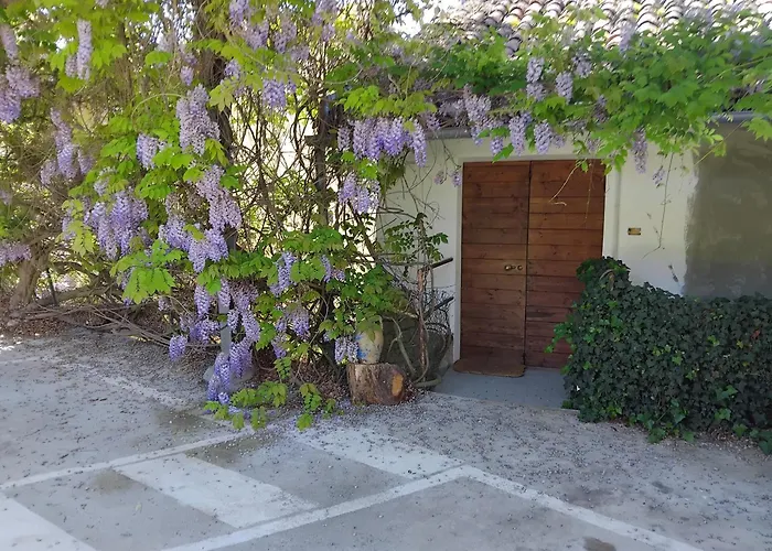 Aspettando Monet Cocconato